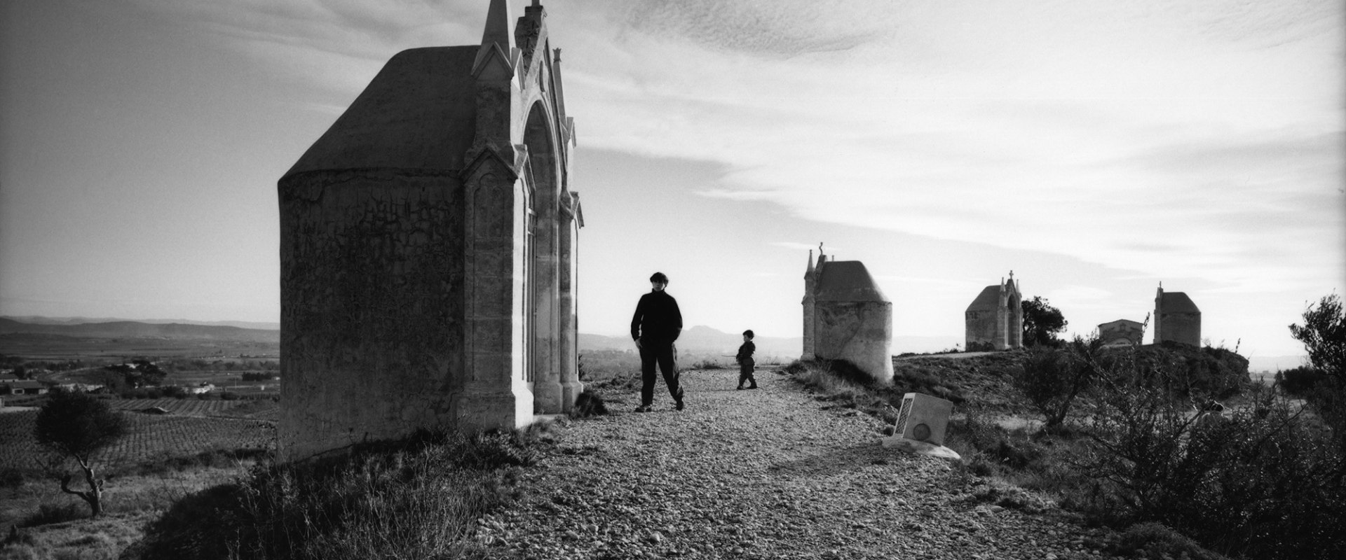 What are the consequences of not following moral principles?