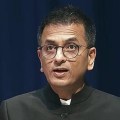 What is the role of morality in politics and lawmaking?